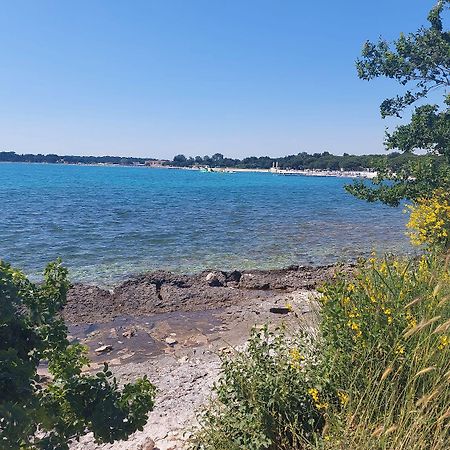 Neu Renovierte Ferienwohnung Mit Klima, Wlan, Terrasse Und Grill Пула Екстер'єр фото